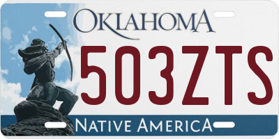 OK license plate 503ZTS