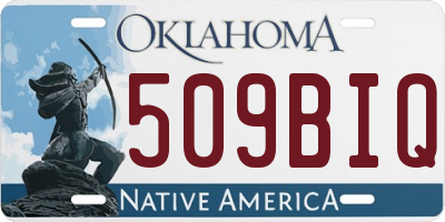OK license plate 509BIQ
