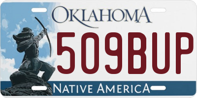 OK license plate 509BUP