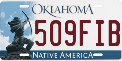 OK license plate 509FIB