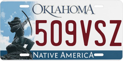 OK license plate 509VSZ