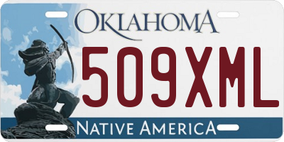 OK license plate 509XML