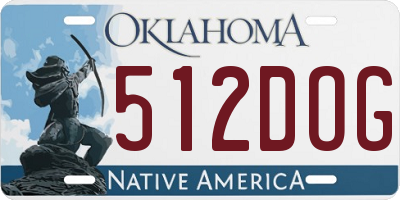 OK license plate 512DOG