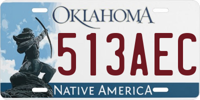 OK license plate 513AEC
