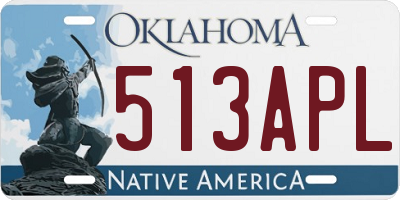 OK license plate 513APL