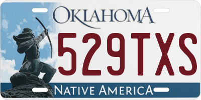 OK license plate 529TXS
