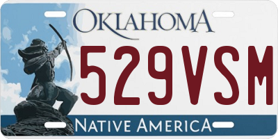 OK license plate 529VSM