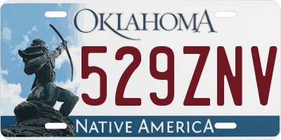 OK license plate 529ZNV