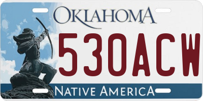 OK license plate 530ACW