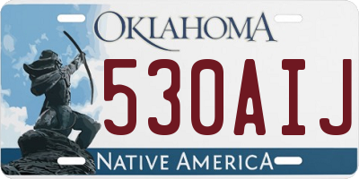 OK license plate 530AIJ