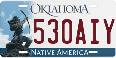 OK license plate 530AIY