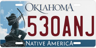 OK license plate 530ANJ