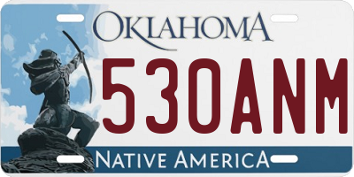 OK license plate 530ANM