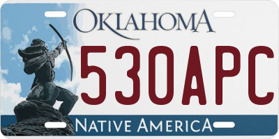 OK license plate 530APC