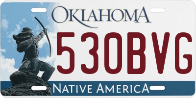 OK license plate 530BVG
