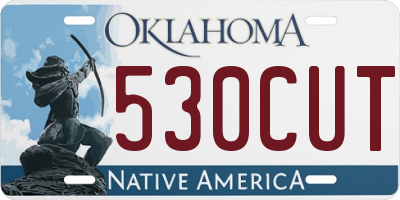 OK license plate 530CUT