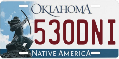 OK license plate 530DNI