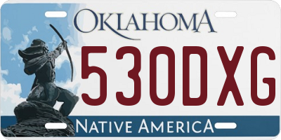 OK license plate 530DXG