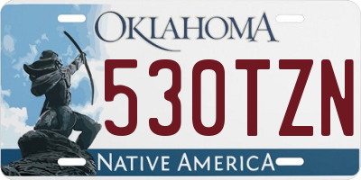 OK license plate 530TZN