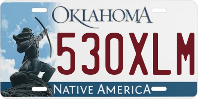 OK license plate 530XLM