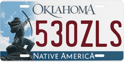 OK license plate 530ZLS
