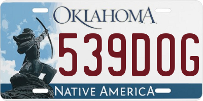 OK license plate 539DOG