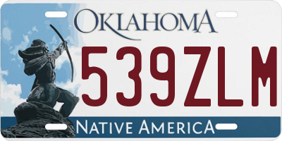 OK license plate 539ZLM