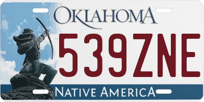 OK license plate 539ZNE
