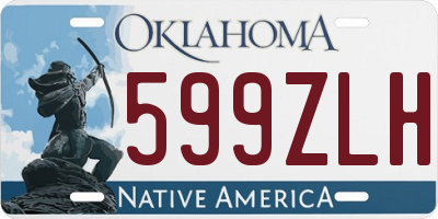 OK license plate 599ZLH