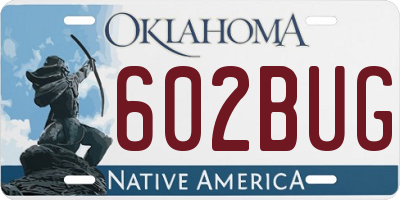 OK license plate 602BUG