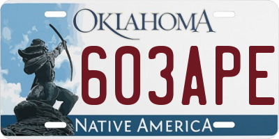 OK license plate 603APE