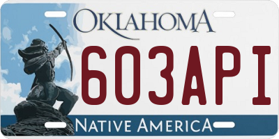 OK license plate 603API