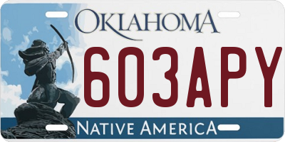 OK license plate 603APY