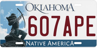 OK license plate 607APE