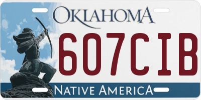 OK license plate 607CIB