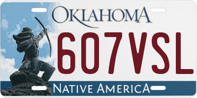 OK license plate 607VSL