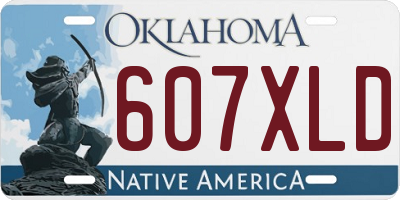 OK license plate 607XLD