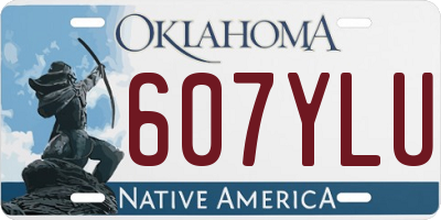 OK license plate 607YLU