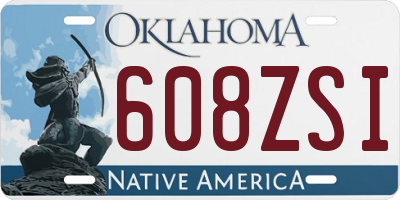 OK license plate 608ZSI