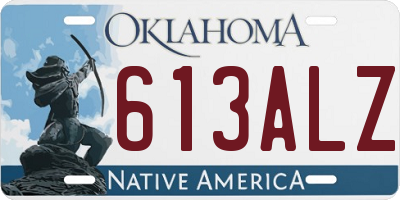 OK license plate 613ALZ