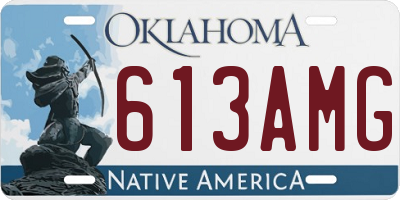 OK license plate 613AMG