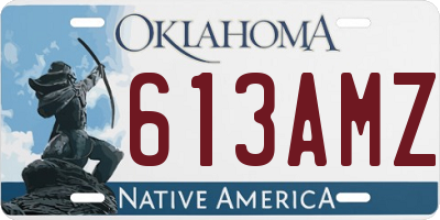 OK license plate 613AMZ