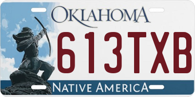 OK license plate 613TXB