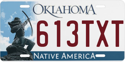 OK license plate 613TXT