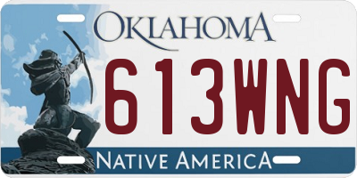 OK license plate 613WNG