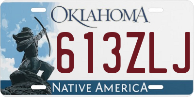 OK license plate 613ZLJ