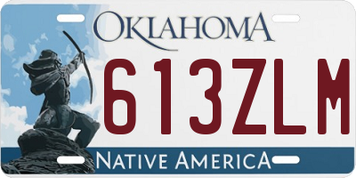 OK license plate 613ZLM