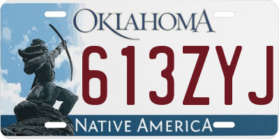 OK license plate 613ZYJ