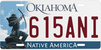 OK license plate 615ANI