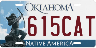 OK license plate 615CAT